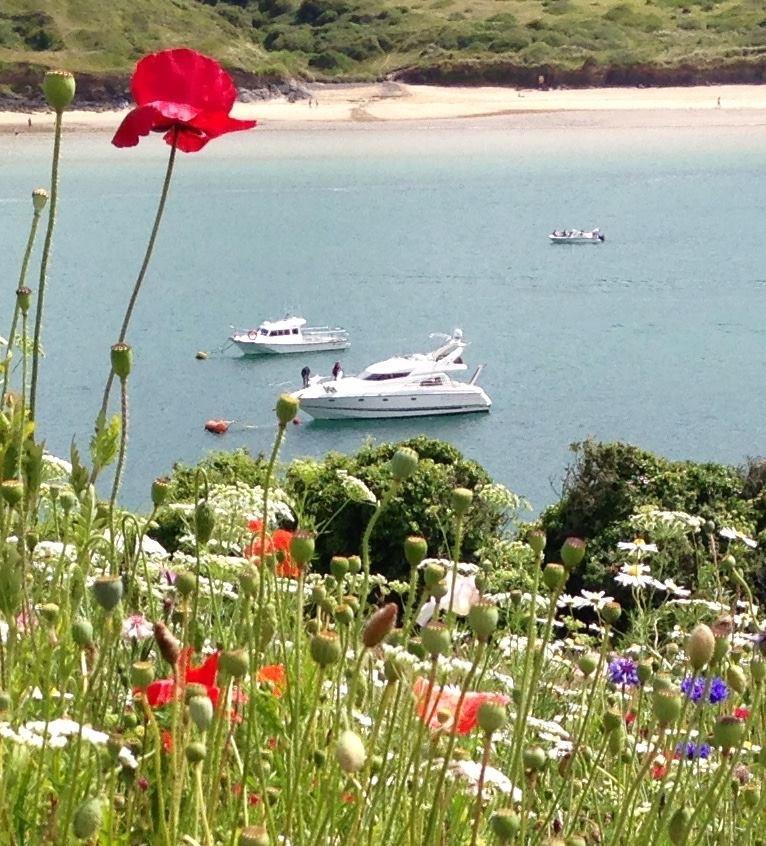 Hotel Cyntwell Padstow Exterior foto